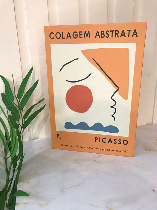 Livro Caixa Picasso