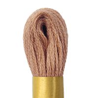 Linha para bordar Maxi Mouline Círculo 8m Cor 892