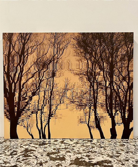 Quadro em Tela Floresta Amarela 72x65 - Online Quadros (Apartamento Decorada)