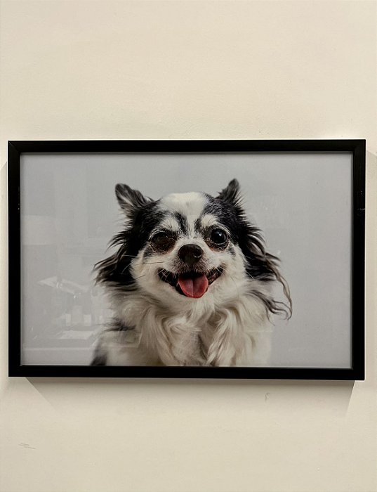 Quadro Cachorro Vira Lata 51x34 - Artesanal (Apartamento Decorado)