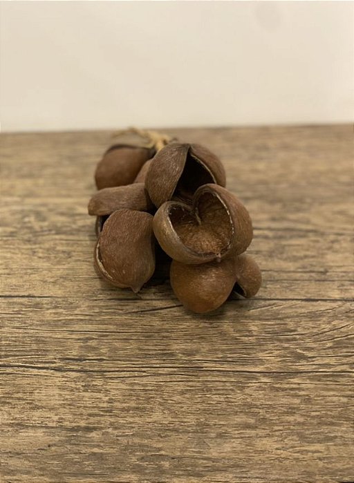 Penca de Frutos - Dot Objetos (Apartamento Decorado)