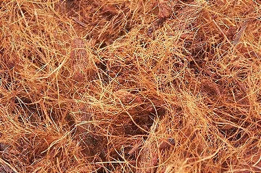 Fibra de Coco - 50 litros