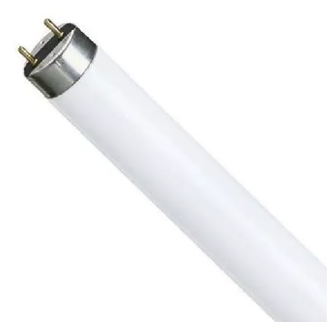 Lâmpada Fluorescente Tubular T8 - 32W/830