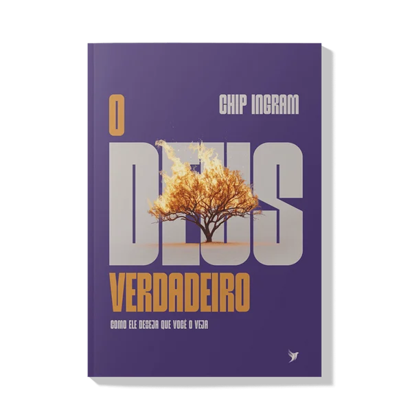 Livro O Deus Verdadeiro Chip Ingram