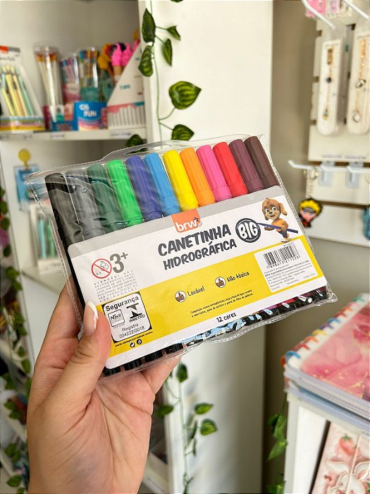 Canetinha Hidrográfica Big C/ 12 BRW