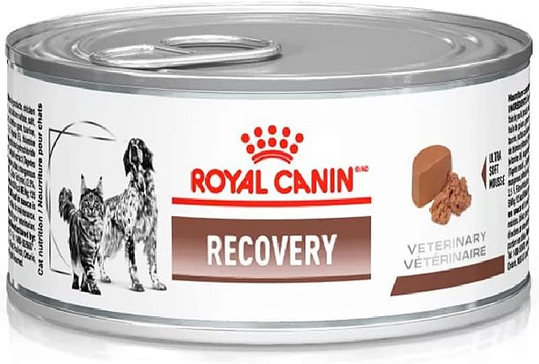 Royal Canin Veterinary Diets Recovery 195g