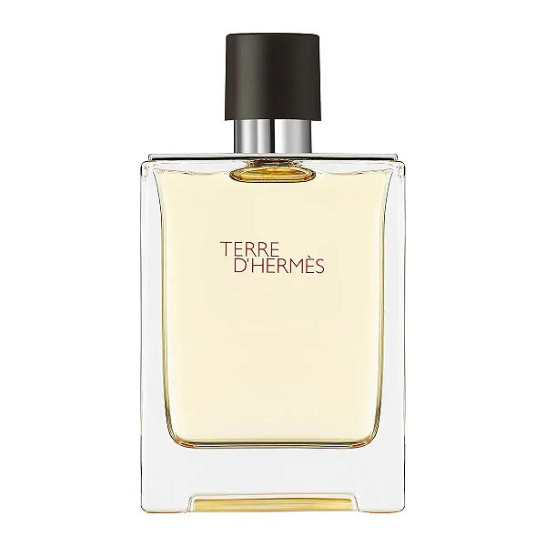Terre D´Hermès Eau de Toilette Masculino - Hermès