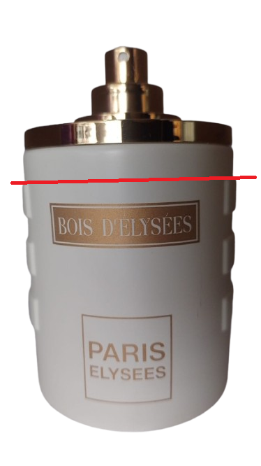 Bois D'elysées Eau de Toilette Masculino - Paris Elysees (Sem caixa, sem tampa e vazado)