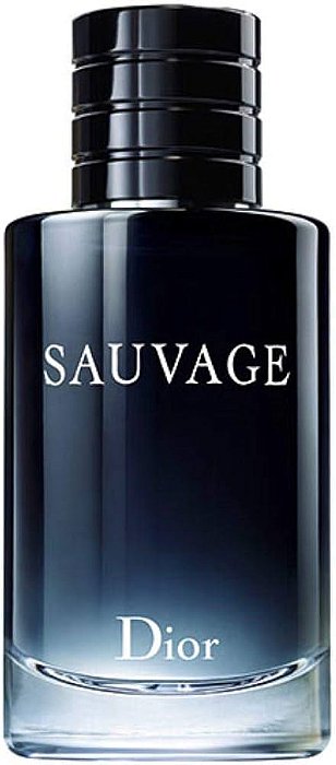 値下中　15,555→12,000Dior Sauvage Sauvage Eau de Toilette Masculino - Dior (Sem caixa) - AnMY