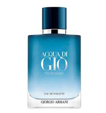 Acqua Di Giò Profondo Eau de Toilette Masculino - Giorgio Armani (SEM CAIXA)