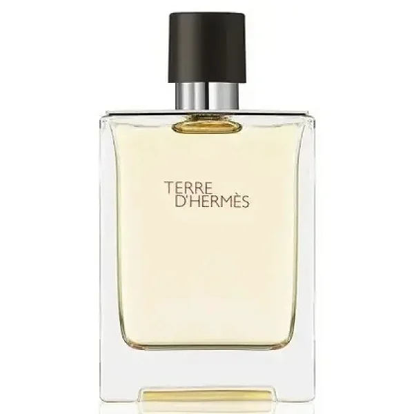 Terre D´Hermès Eau de Toilette Masculino - Hermès