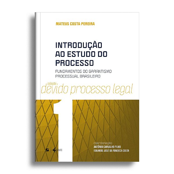 Introdução ao estudo do processo: fundamentos do garantismo processual brasileiro