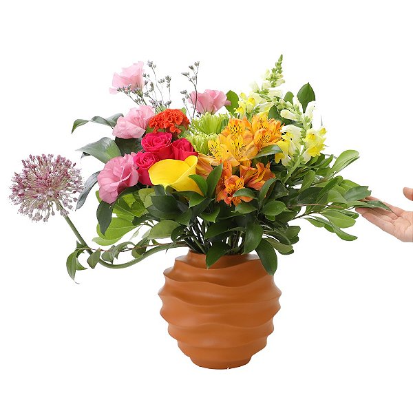 Escolha da Florista no Vaso Laranja M - Claratí Flores e Plantas |  Floricultura - Compre Flores Online