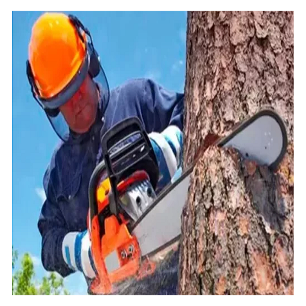 MOTOSSERRA DE GASOLINA USA GASOLINA ORIGINAL COM NOTA FISCAL MOTOSSERRA SERRA ELETRICA GASOLINA