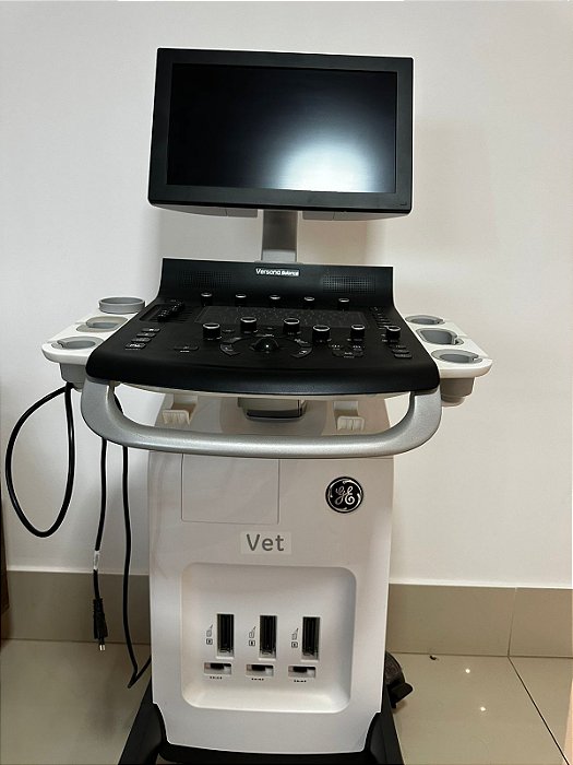 Ultrassom Versana Balance Vet - Linear e Microconvexo - GE