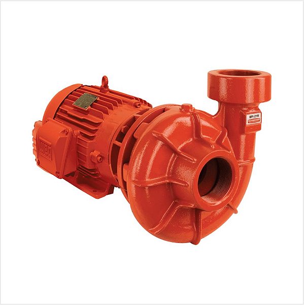 Motobomba 5cv Bpi-21 R 2.1/2 - Rotor 141mm - Trifasica