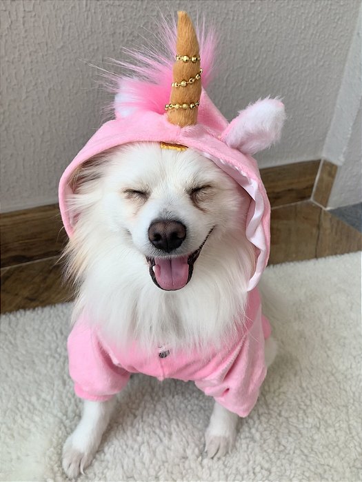 Fantasia pet de unicórnio 🦄