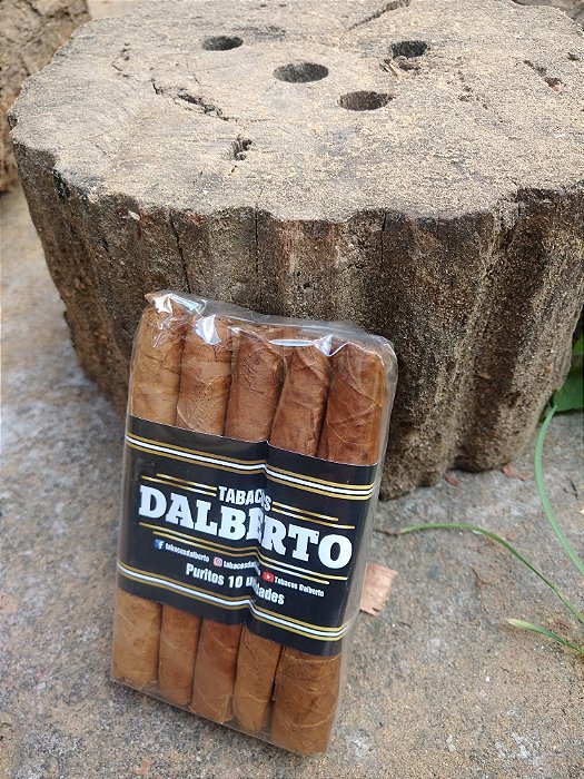 Purito de burley  Dalberto