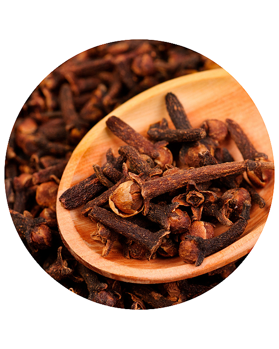 Cravo Da Índia