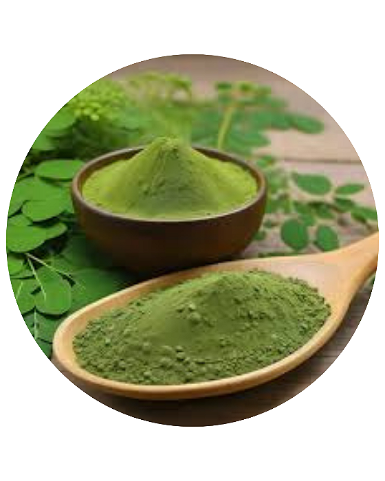 Moringa Em Pó