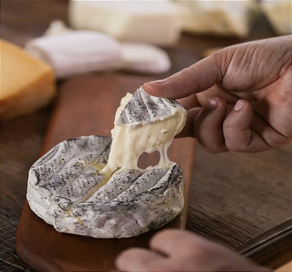 queijo gorgonzola de colher da serra das antas