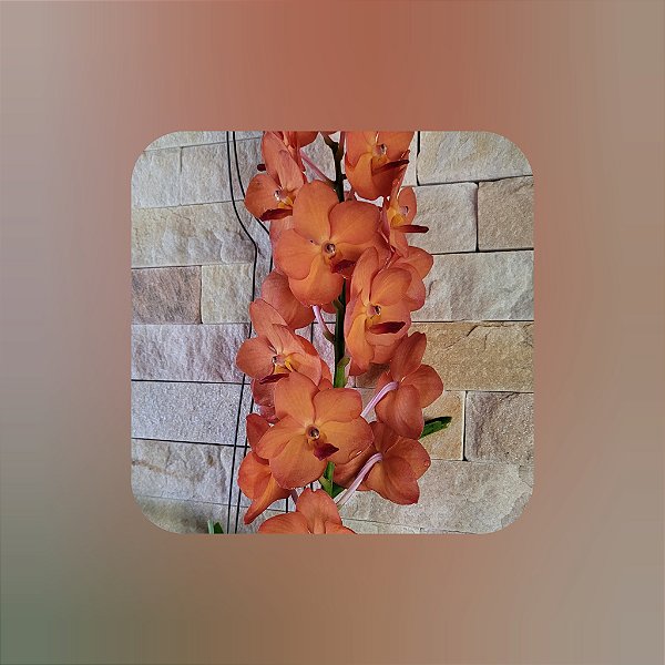 Vanda Fuchs Sunset x Pine Rivers Orange Red Lip