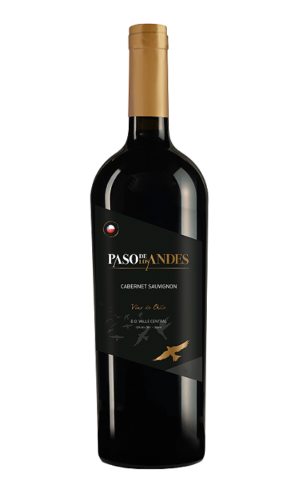 V PASO DE LOS ANDES CABERNET SAUV CHI 750 ML