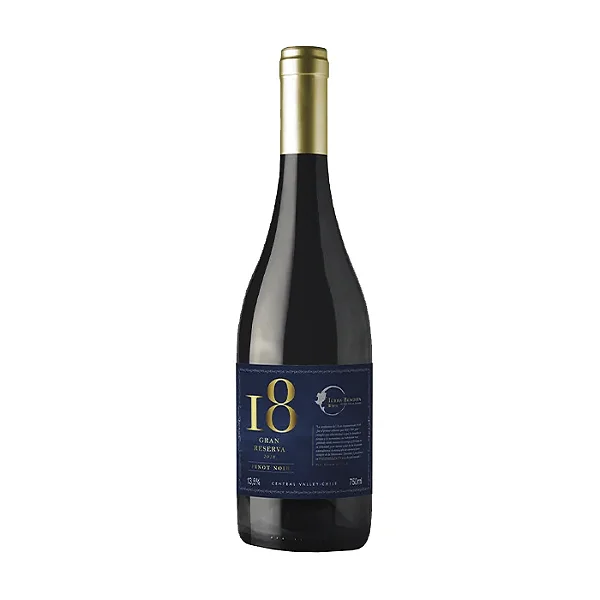 V 18 PINOT NOIR GRAN RESERVA CHI 750ML