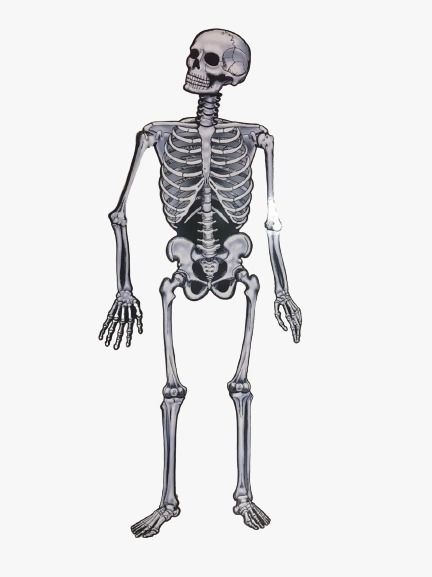 Placa / Painel esqueleto grande para decoração de Festas Halloween