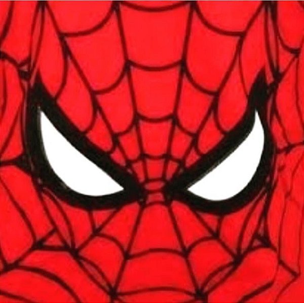 T-Shirt Feminina Adulto Homem Aranha Vermelha Tal Mãe Tal Filho