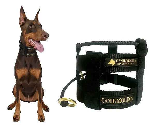 Coleira Illusion Encantador de Cães – Controle e Adestramento Profissional