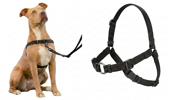 Peitoral Cães Smooth Ride Anti Puxão Ajustável Conforto Premium