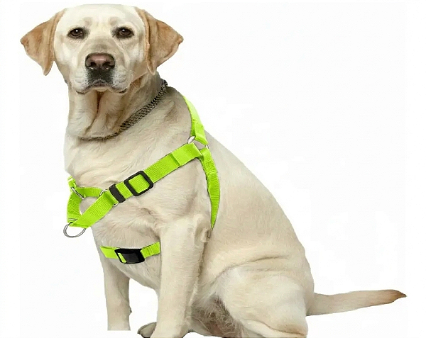 Peitoral Easy para Cães – Ajustável