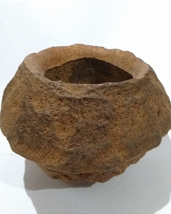 Sapucaia