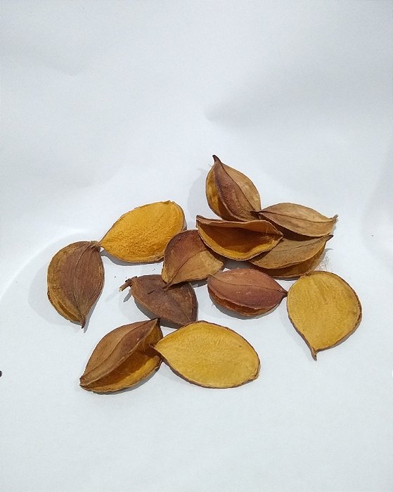 Aspidosperma I