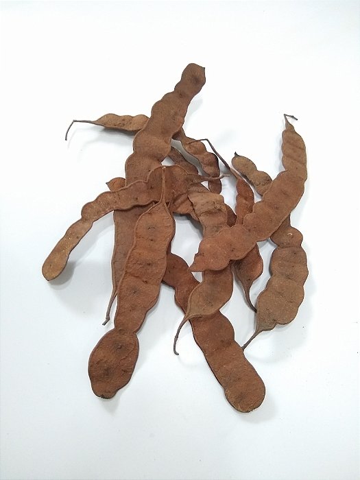 Capsula Angico