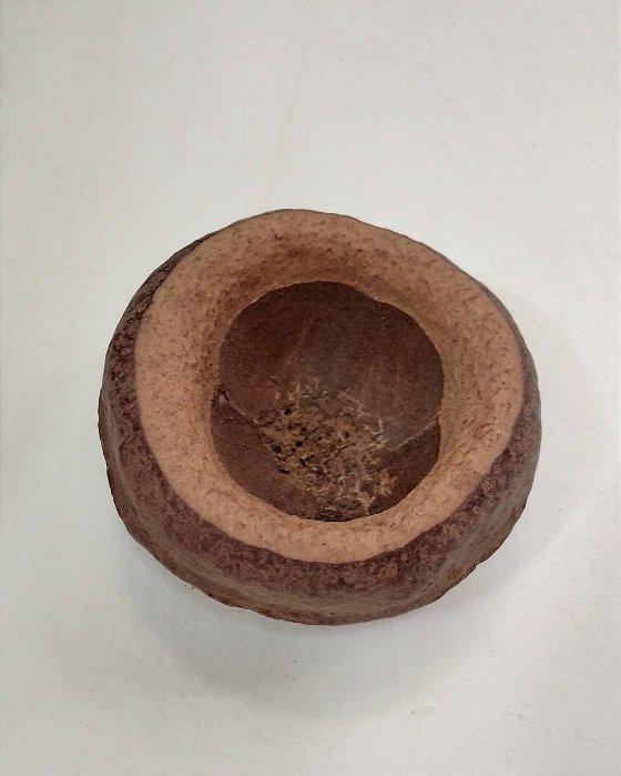 Sapucaia Mini