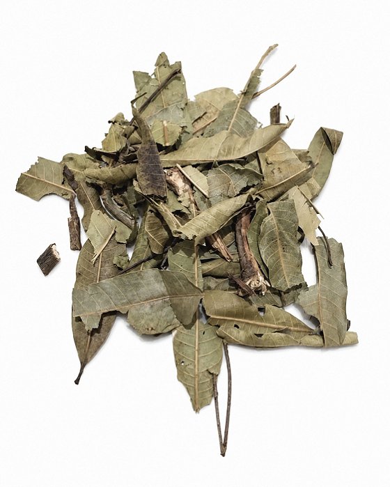 Folha de Mangueira 50g