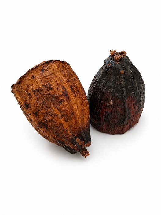 Casca de Cacau