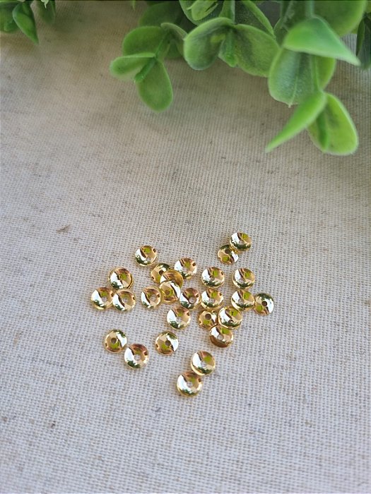Tulipa Lisa Ouro (20un)
