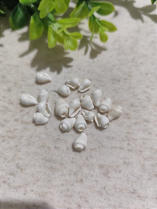 Mini Búzios Natural 8mm (10un)