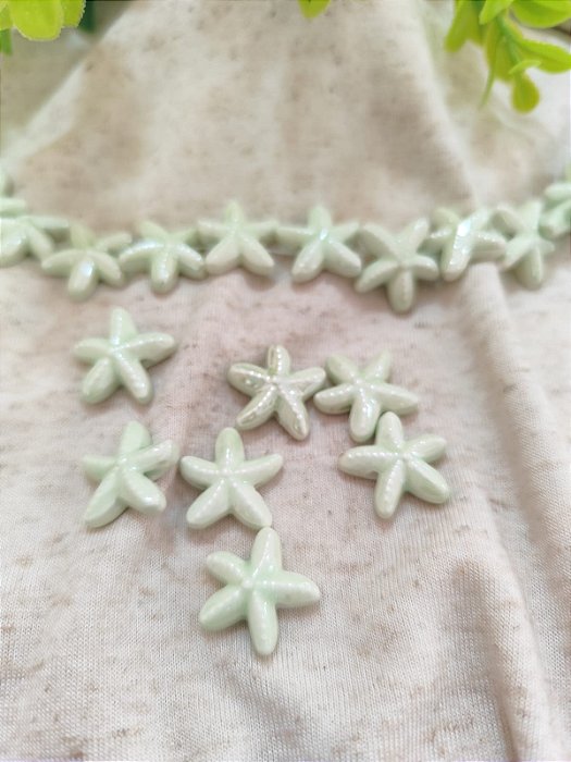 Estrela do Mar Porcelana Passante 20mm Menta, furo 1mm (un)