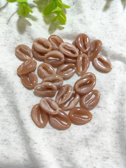 Búzios Resina 18mm Rosê Mesclado (10un)