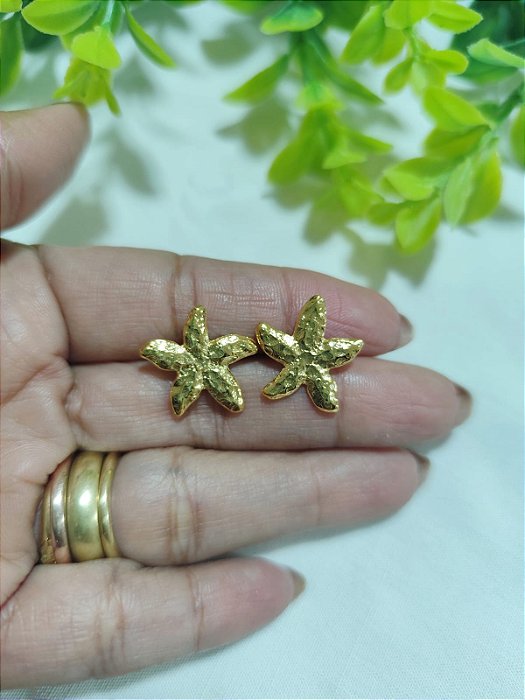 Pino de Brinco Estrela do Mar 20mm Ouro (par)