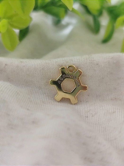 Pingente Profissão Agronomia Ouro 18mm (un)