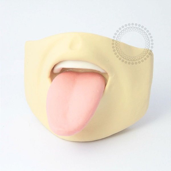 EP22 Expositor  Boca com Língua de Silicone