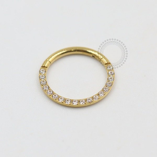 PVD51 Segmento cravejado frontal aço PVD Gold