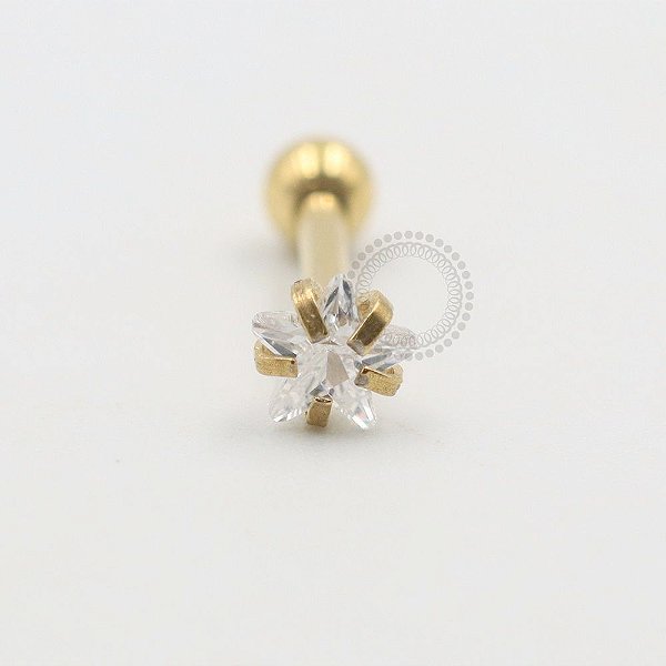 PVD75 Microbell Estrela Strass Aço PVD Gold