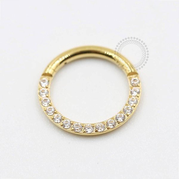 TN301 Segmento Frontal Cravejado Titânio PVD Gold