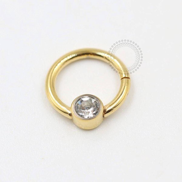 TN295 Segmento Zirconia Flat Titânio PVD Gold